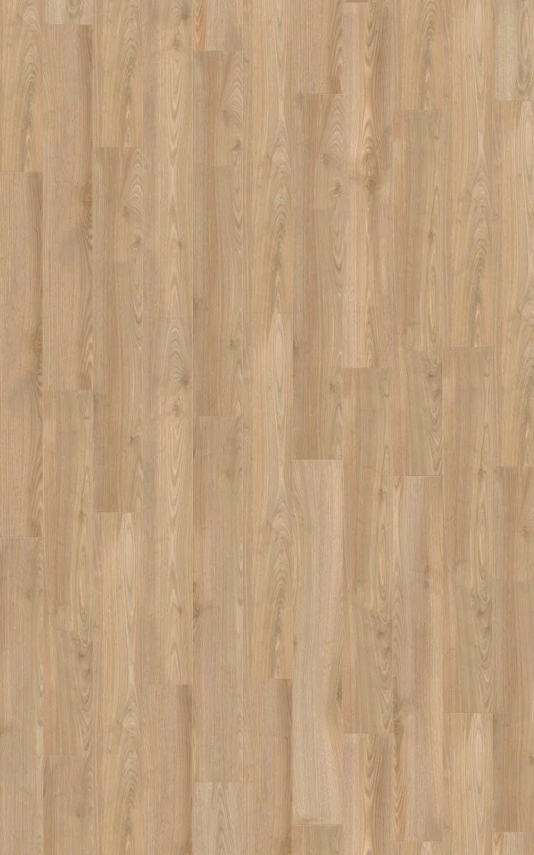 Salisbury Chestnut Dark 7500