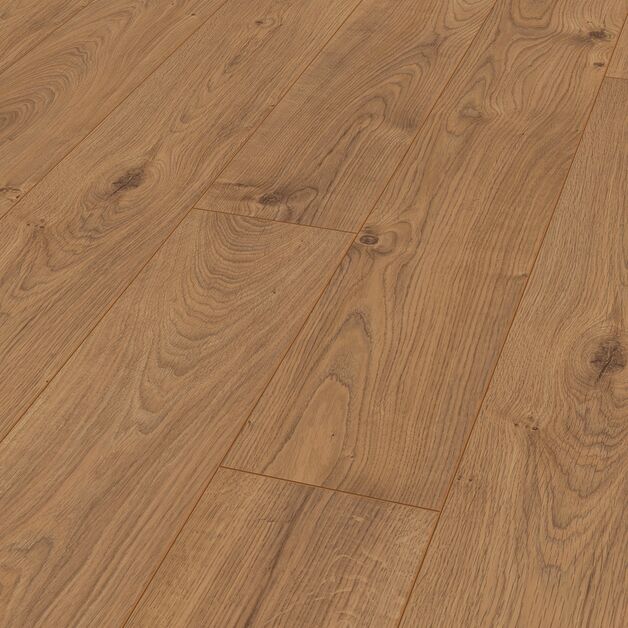 Atlas Oak Nature 9807