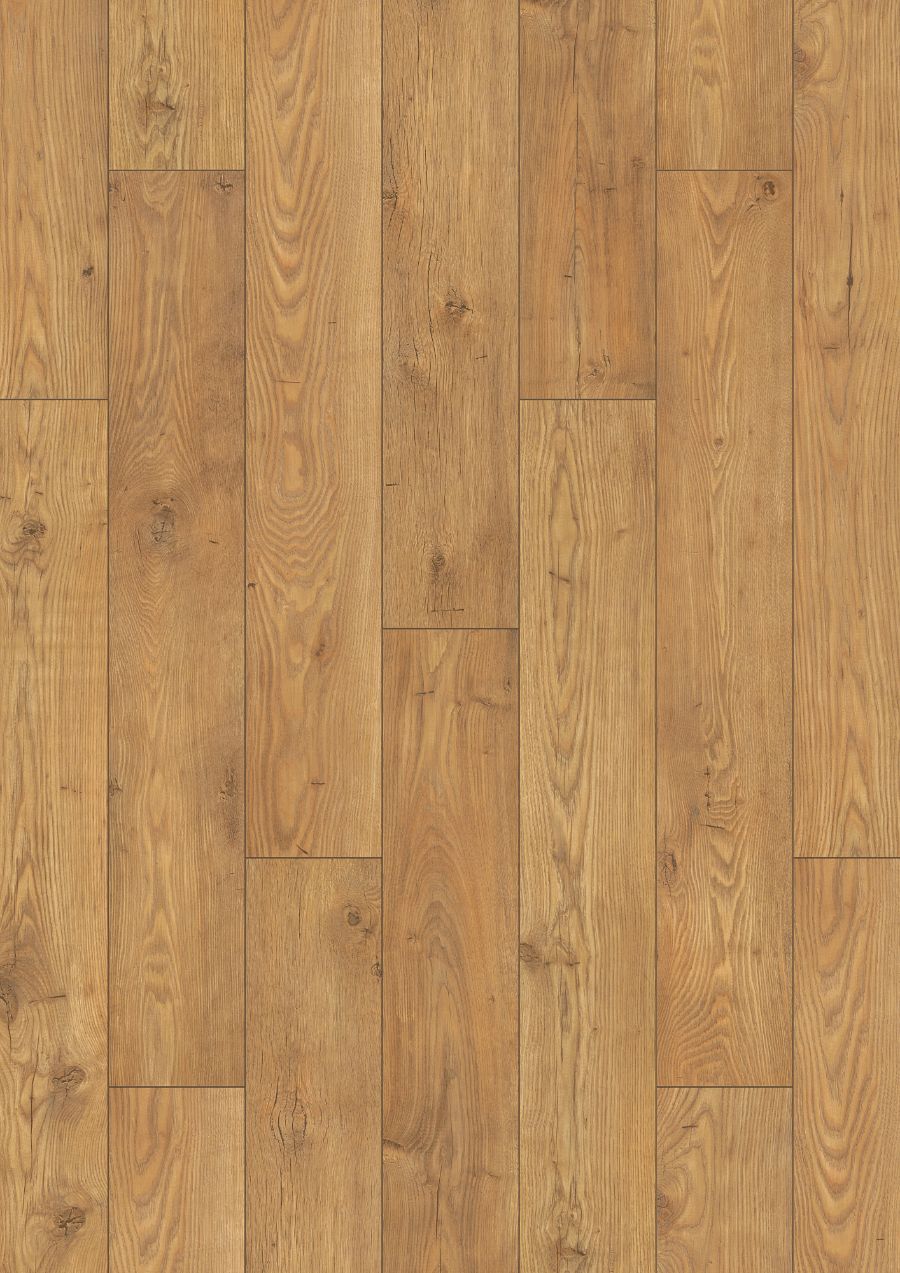 Tawny Chestnut