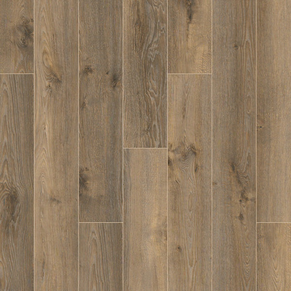 Andromeda Oak
