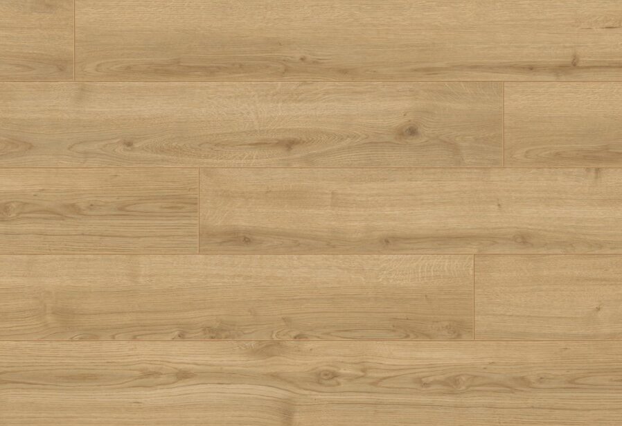Adaja Oak